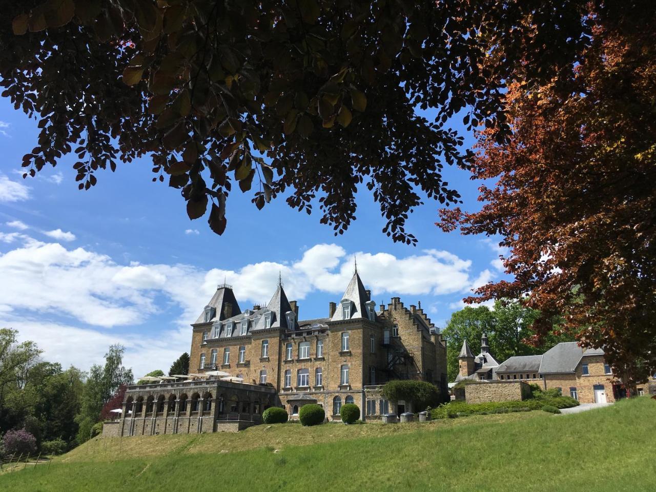 Domaine De Ronchinne - Insolites Maillen 外观 照片