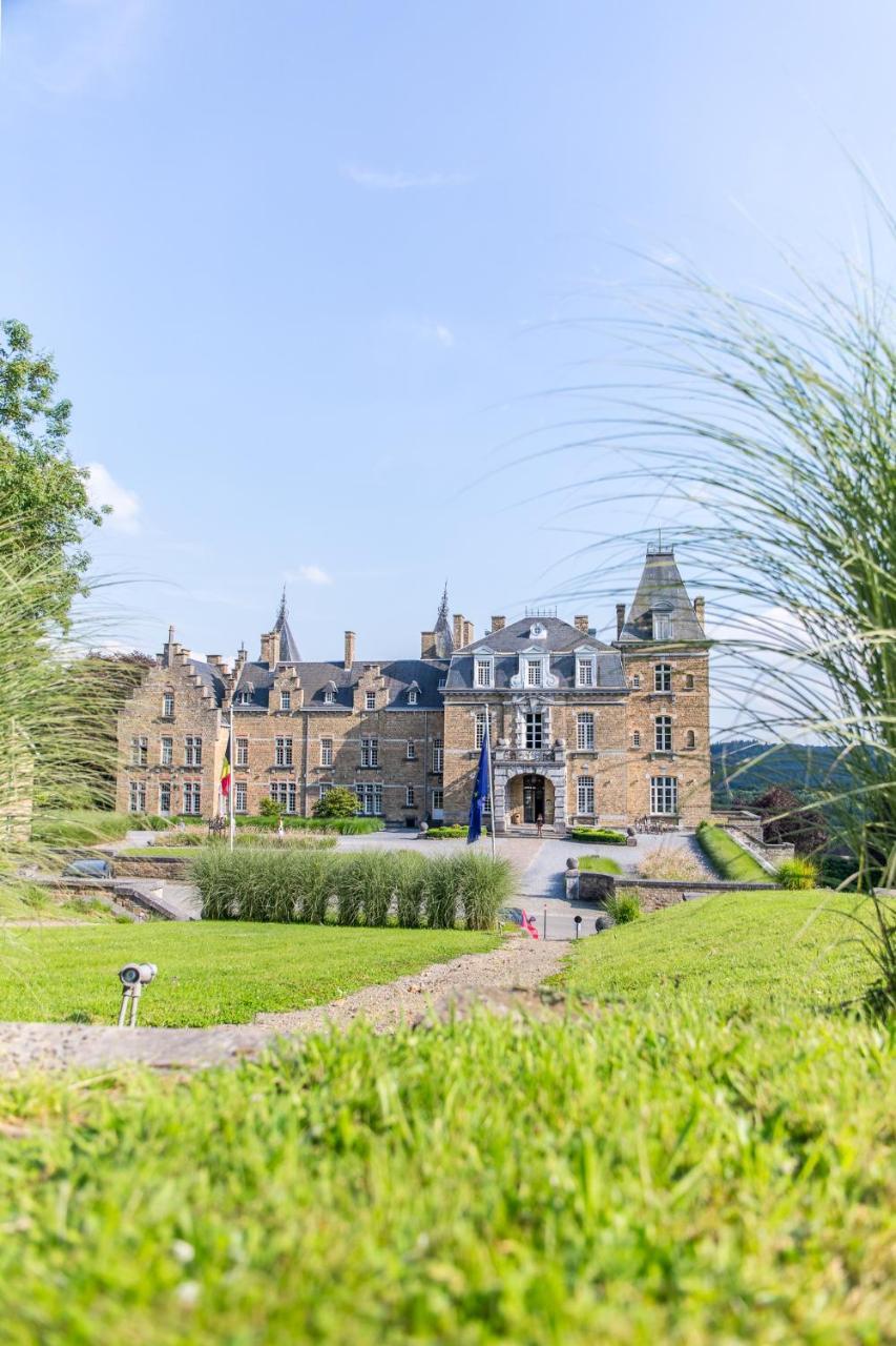 Domaine De Ronchinne - Insolites Maillen 外观 照片