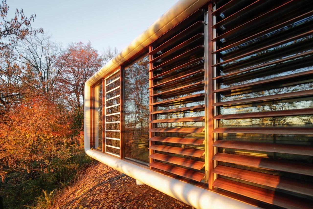 Domaine De Ronchinne - Insolites Maillen 外观 照片