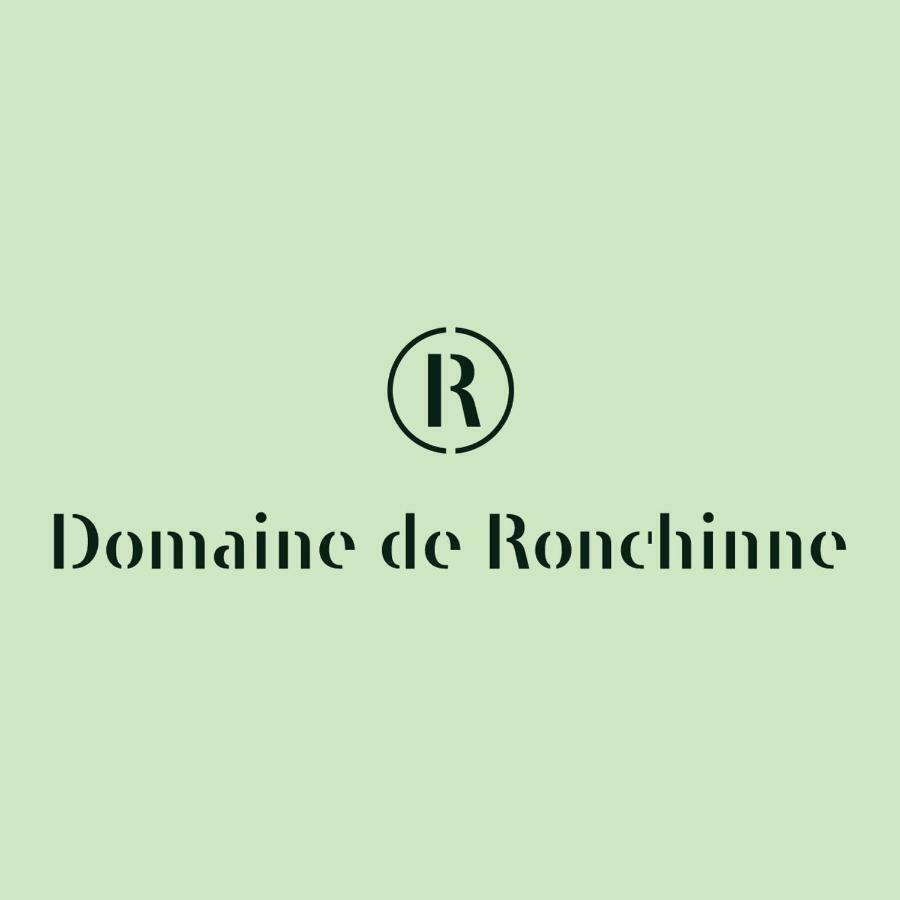 Domaine De Ronchinne - Insolites Maillen 外观 照片