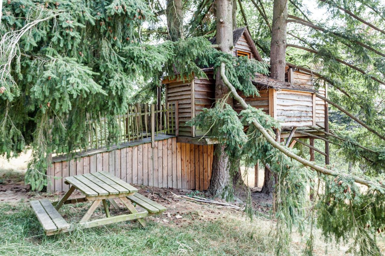Domaine De Ronchinne - Insolites Maillen 外观 照片